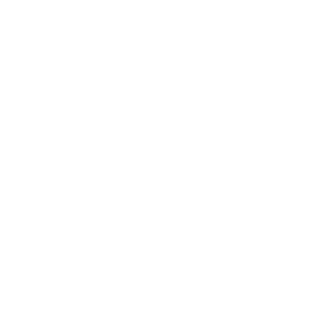 Delens Mathis portfolio